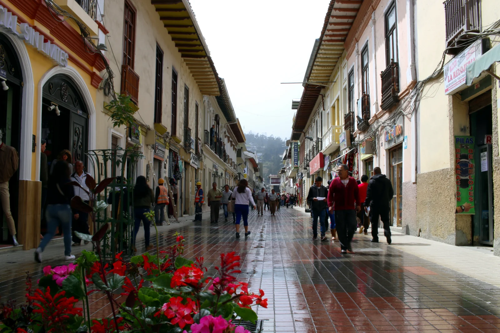 Vista de Loja
